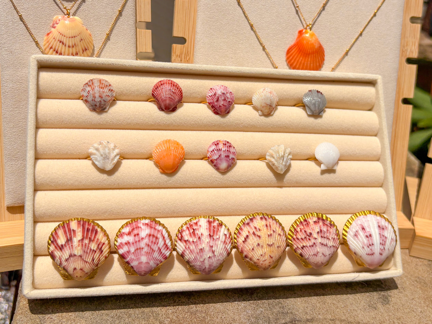 Shell Rings & Car Vent Clips