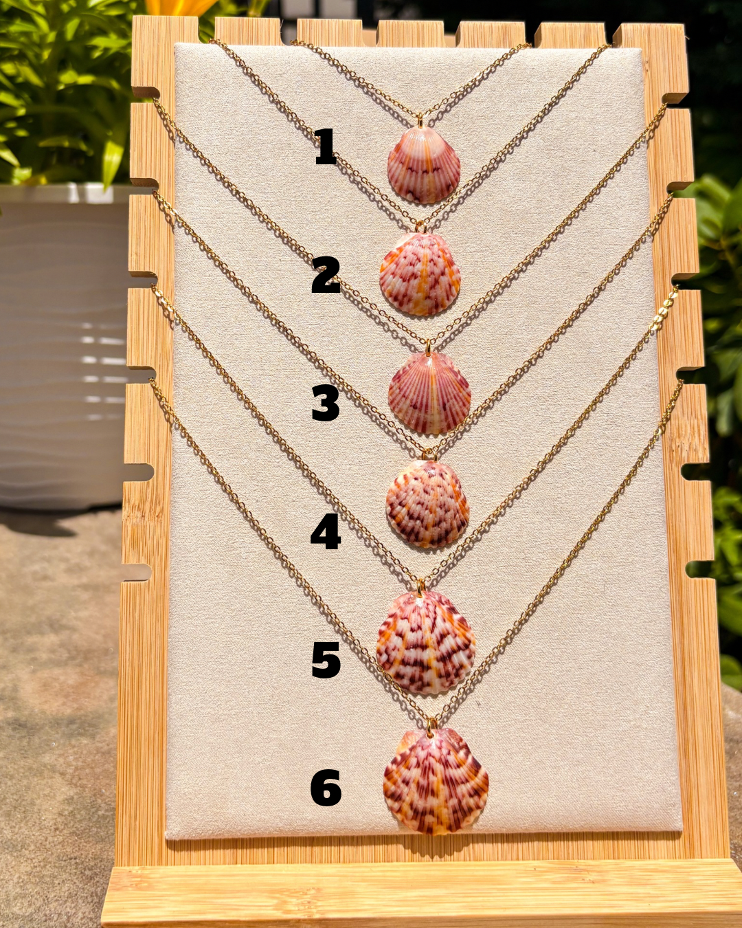 Sanibel Sunburst Shell Necklace