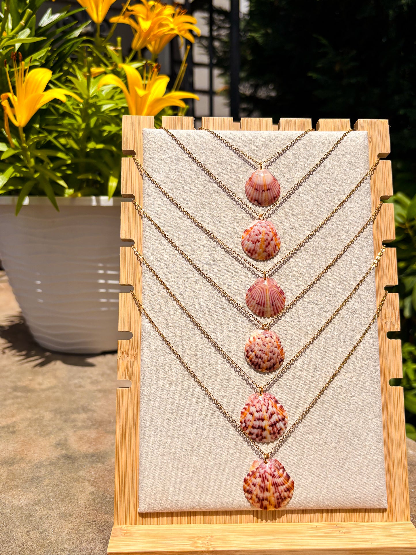 Sanibel Sunburst Shell Necklace